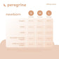 PEREGRINE SILLY GOOSE ONESIE 2 IN 1 PACK FOR NEWBORN (0-6 MOS)