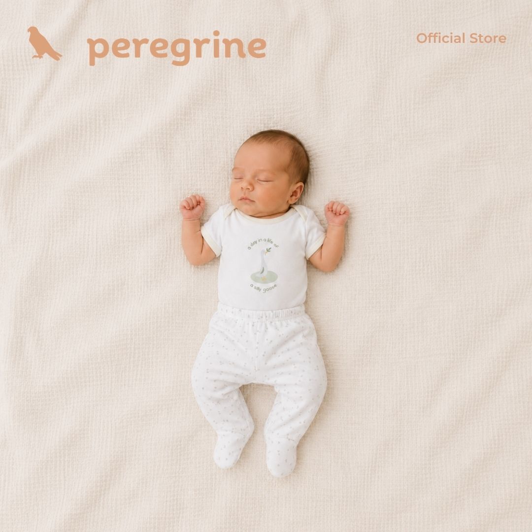PEREGRINE SILLY GOOSE ONESIE AND FOOTED PAJAMA SET FOR NEWBORN (0-6 MOS)