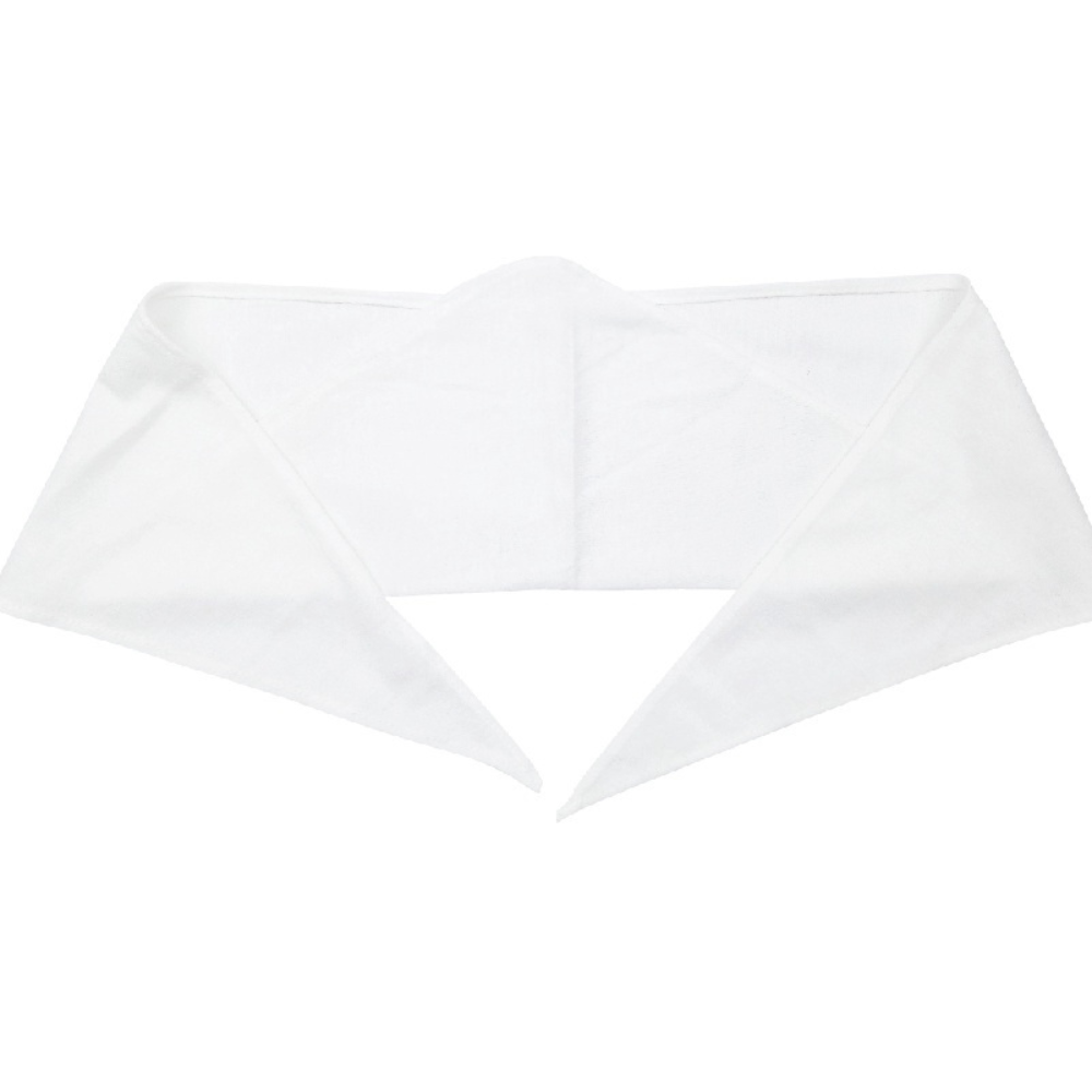 BASIC WHITE TRIANGULAR BINDER